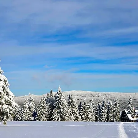 Prezidentska 3*